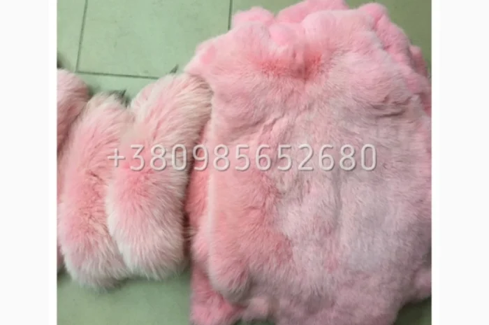 Шкуры Кроля Кролика- фото № 4