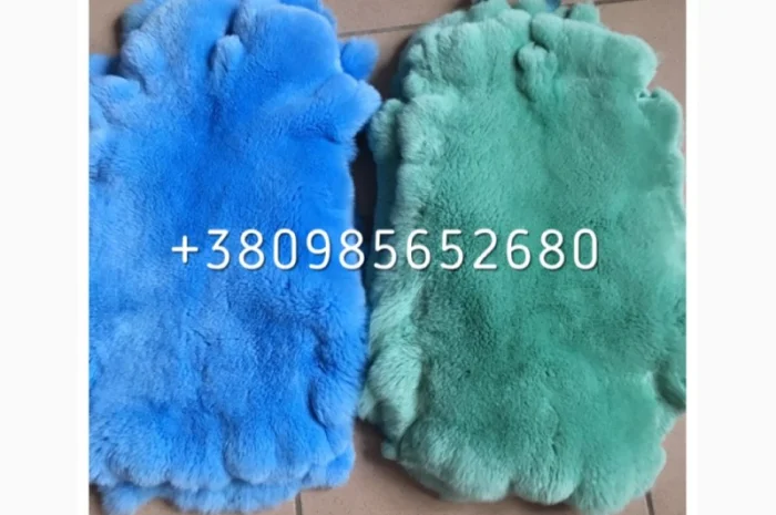 Шкуры Кроля Кролика- фото № 5