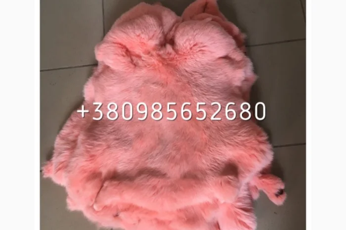Шкуры Кроля Кролика- фото № 9
