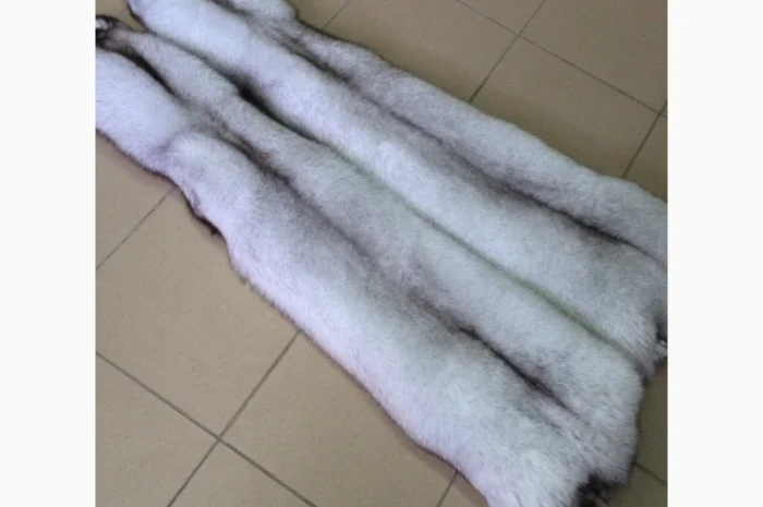 Шкуры мех песца- фото № 13