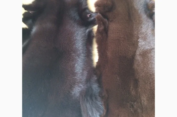 Шкуры мех песца- фото № 12