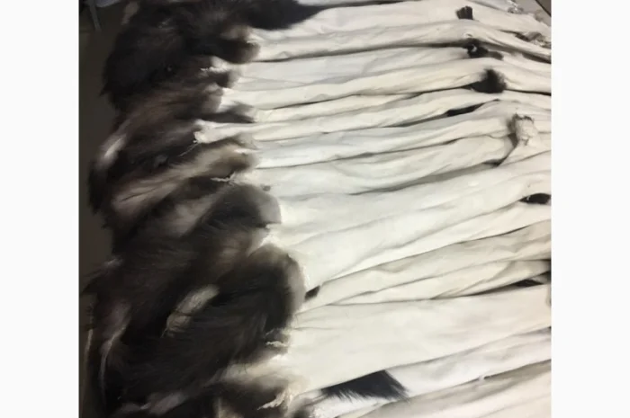 Выделка, Выченка, окраска, покраска натурального меха- фото № 1