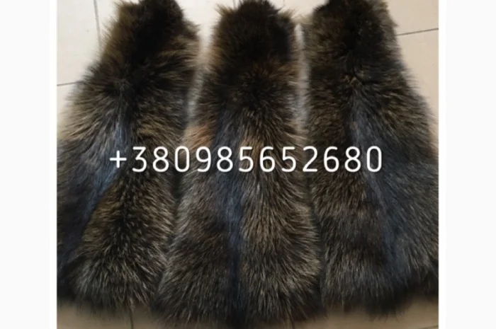 Шкуры мех енота- фото № 10