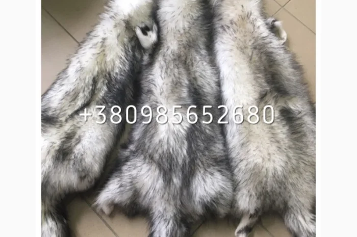 Шкуры мех енота- фото № 8