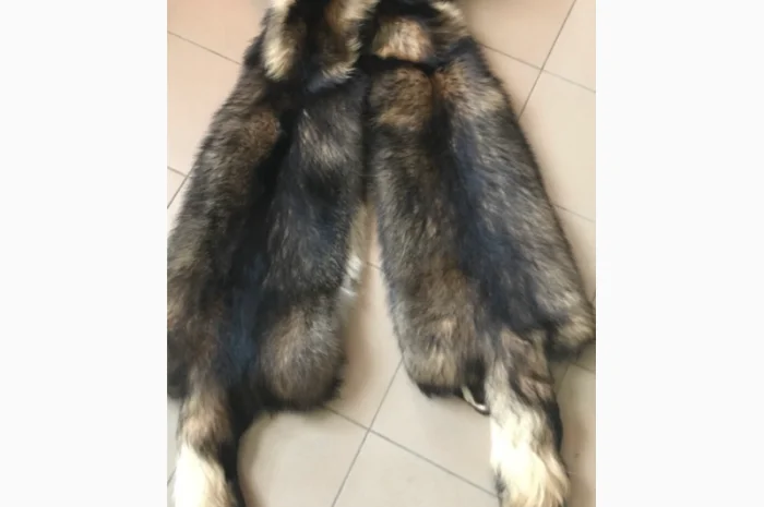 Шкуры и мех енота – продажа натурального материала- фото № 17