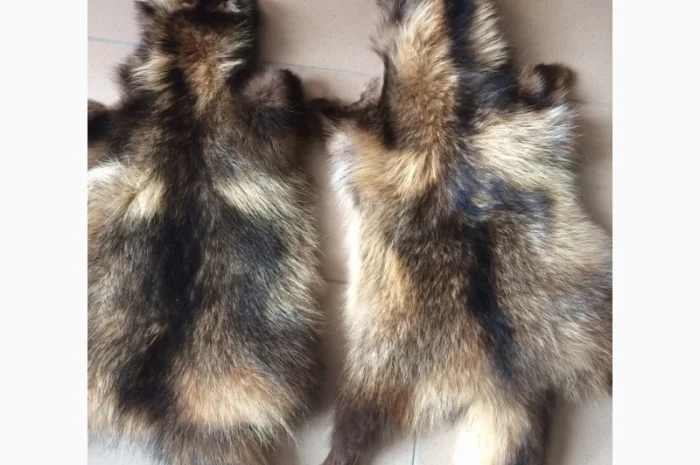 Шкуры мех енота- фото № 19