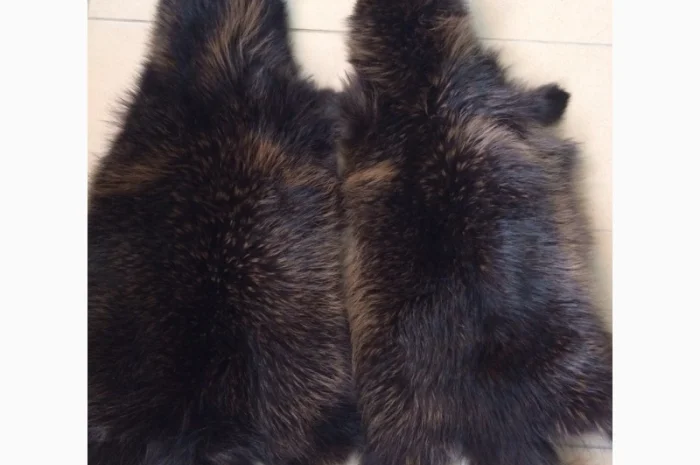 Шкуры мех енота- фото № 18