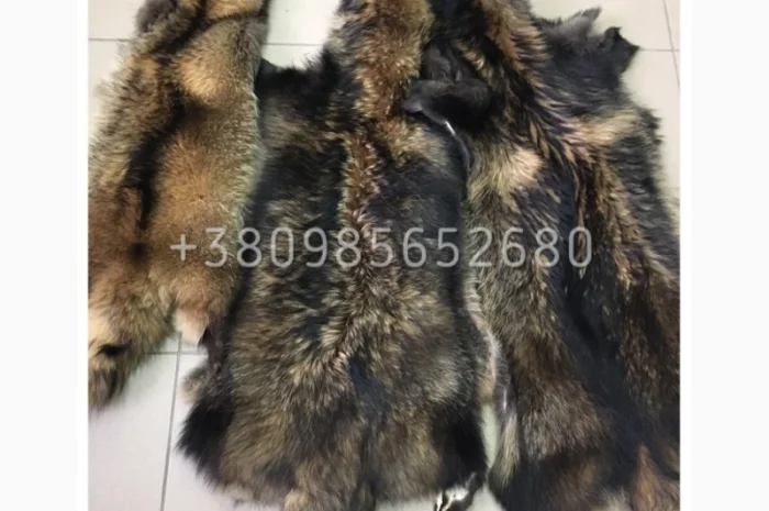 Шкуры мех енота- фото № 16