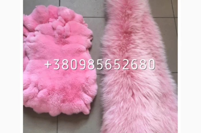 Шкуры мех енота- фото № 15