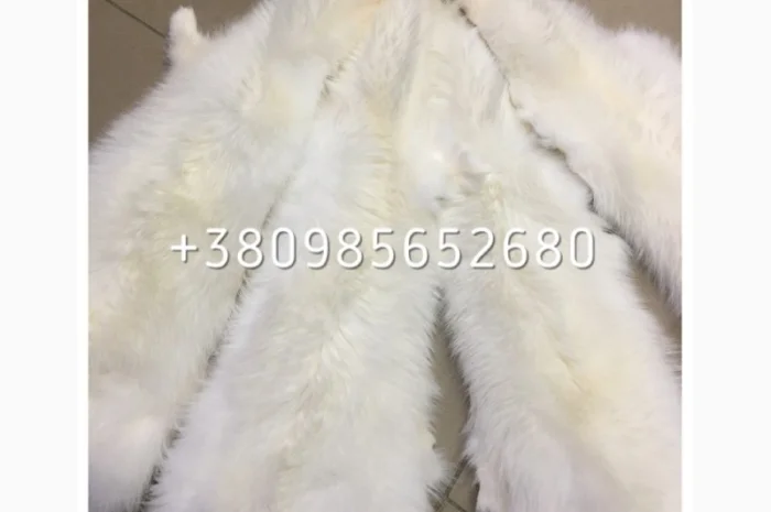 Шкуры мех енота- фото № 13
