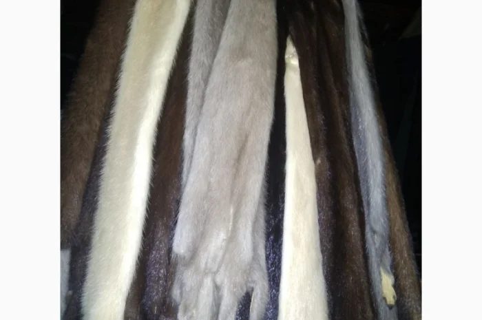 Продам хвосты норки, ченобурки, песца, блюфроста, куницы, енота, лис- фото № 10