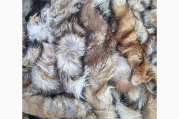 Продам хвосты норки, ченобурки, песца, блюфроста, куницы, енота, лис- фото № 11