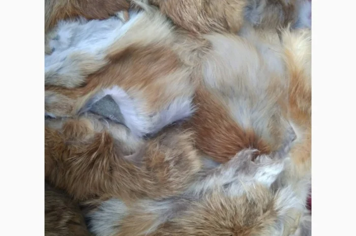 Продам хвосты норки, ченобурки, песца, блюфроста, куницы, енота, лис- фото № 2