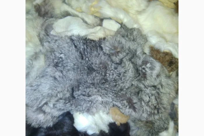 Продам хвосты норки, ченобурки, песца, блюфроста, куницы, енота, лис- фото № 4