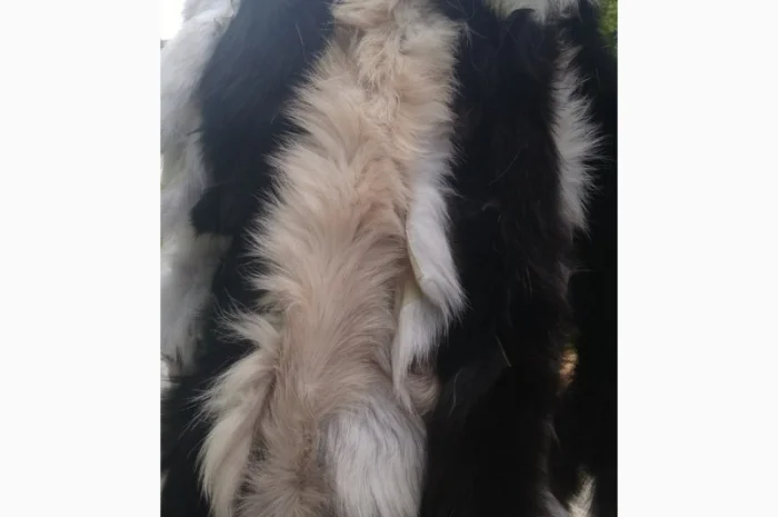 Продам хвосты норки, ченобурки, песца, блюфроста, куницы, енота, лис- фото № 5