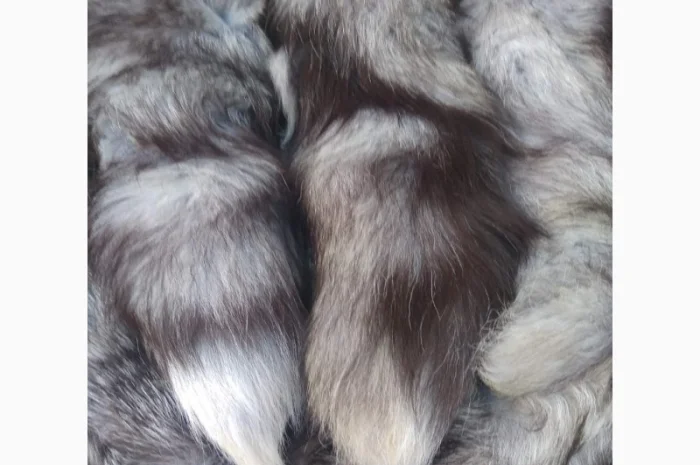 Продам хвосты норки, ченобурки, песца, блюфроста, куницы, енота, лис- фото № 8