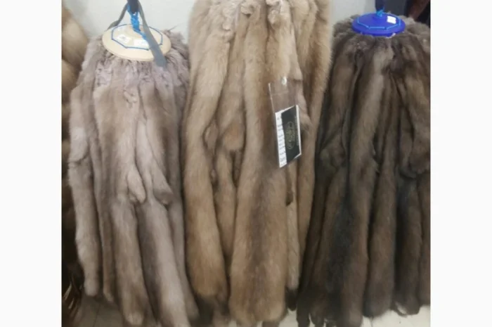 Продаю мех шкурки соболя баргизинского, тортор, золотого вычиненные, шубные наборы- фото № 1