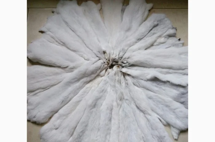 Шкуры мех шиншиллы отборные- фото № 2