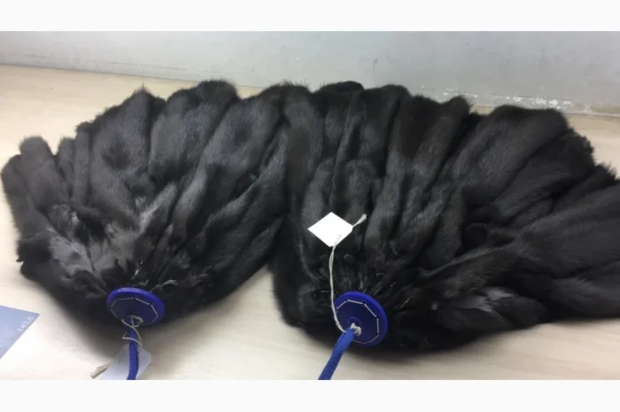 Шкуры мех соболя темно-коричневого- фото № 1