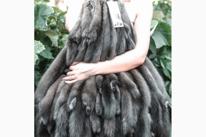 Шкурки соболя- фото № 7