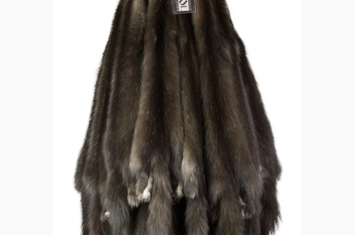 Продам шкуры соболя- фото № 1