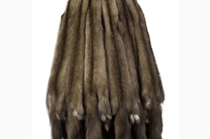 Продам шкуры соболя- фото № 3