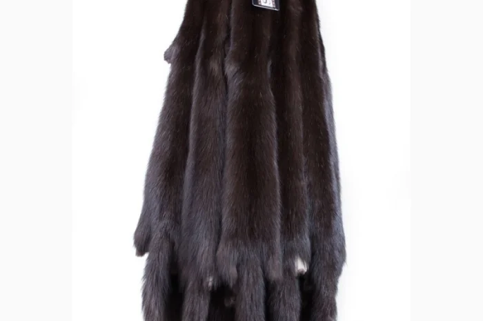 Продам шкуры соболя- фото № 4