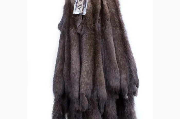 Продам шкуры соболя- фото № 9