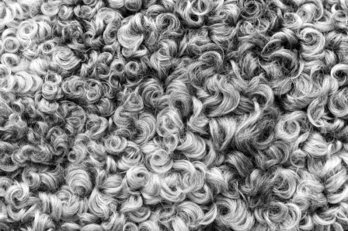 Оптовая продажа овечьей шерсти- фото № 1