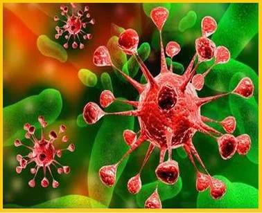 Комплексный микробиологический препарат XXI века для животных и птиц- фото № 1