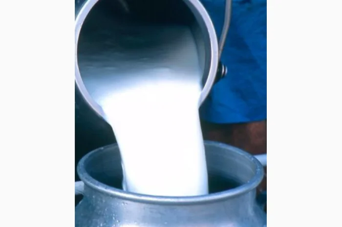 Пропонується свіже цільне молоко- фото № 1