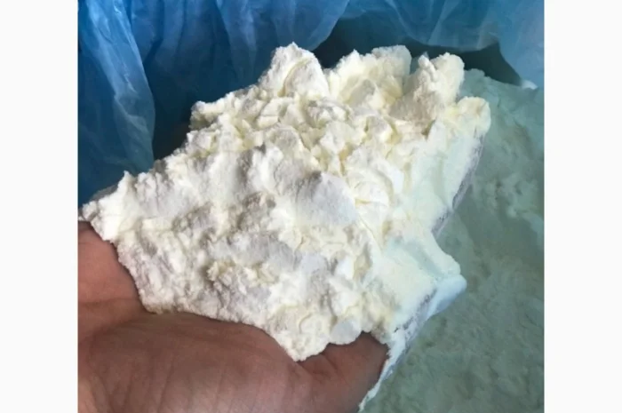 СРОЧНО продам схое молоко 1, 5% от производителя от 20 тонн- фото № 2