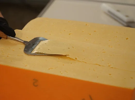 Сирний продукт, сир твердий, молочна продукція в асортименті- фото № 5