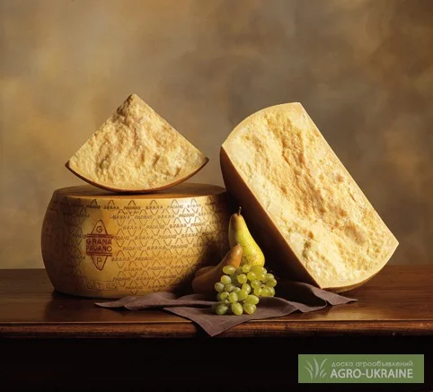 Итальянский сыр Grana Padano- фото № 1