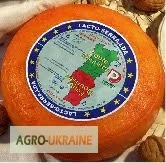 Португальский сыр от производителя- фото № 2