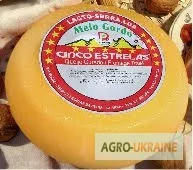 Португальский сыр от производителя- фото № 8