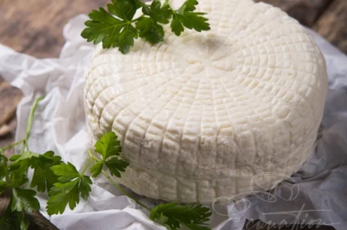 Адигейський НАТУРАЛЬНИЙ СИР. Імеритинський бринза. Сулугуні з коровʼячого молока ОПТ- фото № 13