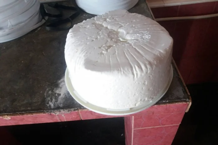 Будз (бринза) овеча- фото № 1