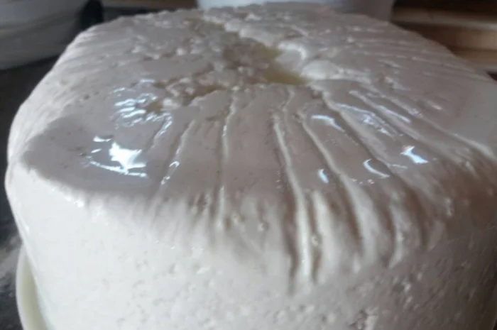 Будз (бринза) овеча- фото № 3