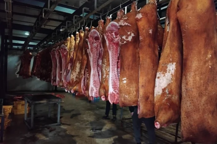 Куплю свиней и свиноматок в Киеве- фото № 1