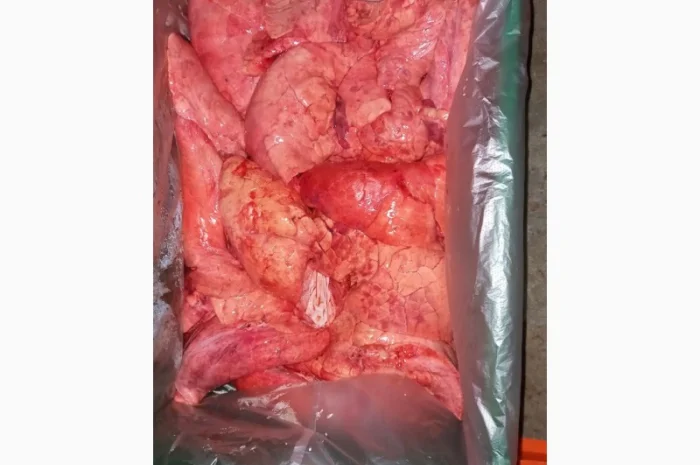 Продаем поросят, свинок, полутуши, кусок, субпродукты- фото № 2