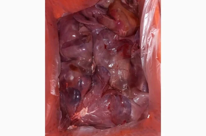 Продаем поросят, свинок, полутуши, кусок, субпродукты- фото № 3