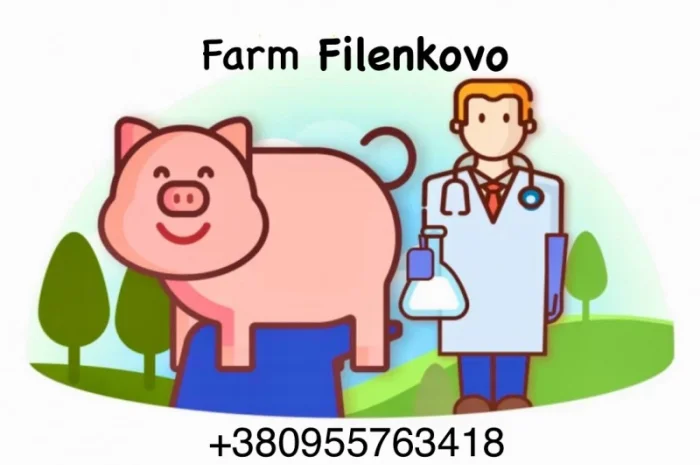 Продам спермодози кнурів м'ясних порід- фото № 4