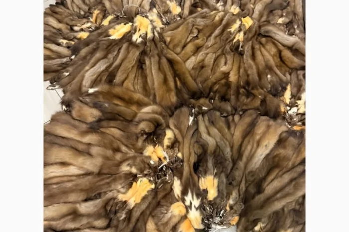 Купую куницю дорого- фото № 1