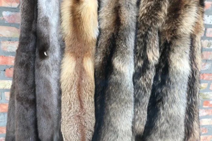 Продам выделанные шкуры енота- фото № 4