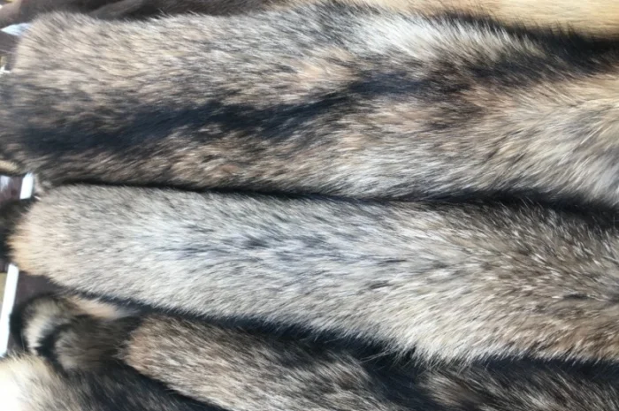 Продам выделанные шкуры енота- фото № 5