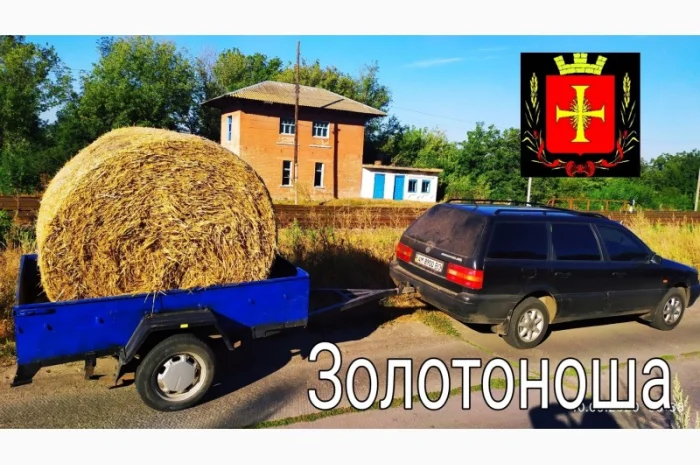 Перевезу Вашу худобу по Україні (корови, свині, вівці, кози)- фото № 5