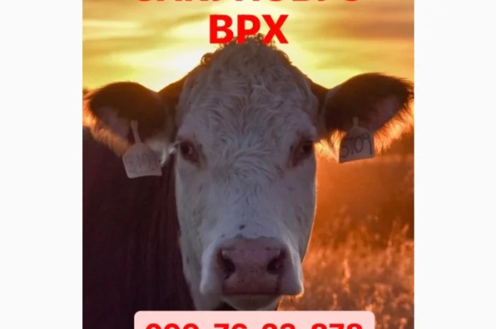 М’ясопереробне Підприємство- фото № 1