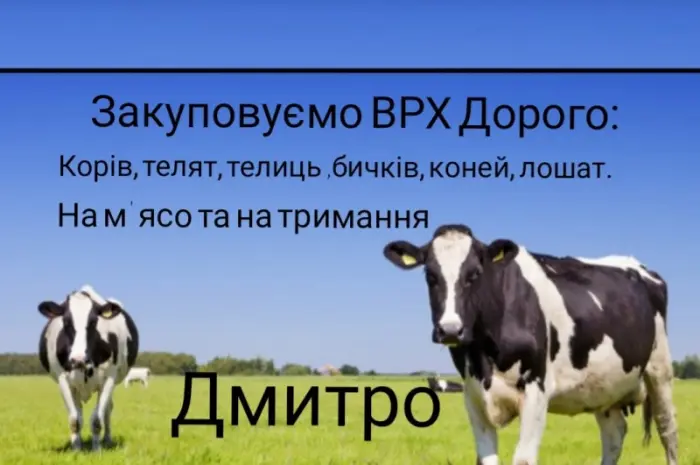 Купимо: ВРХ- фото № 1