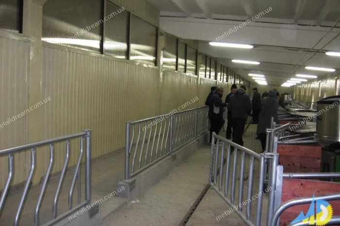 Разделитель для безпривязного содержания животных MetallDreamUA- фото № 1